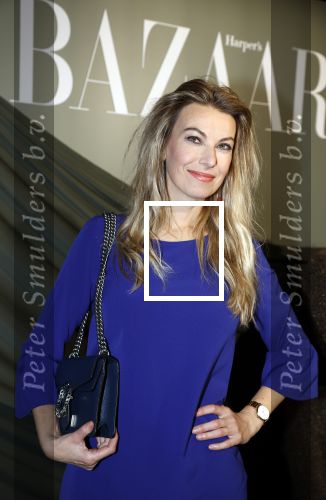 Amsterdam 14 november 2022
Gala van Harpers Bazaar in Amsterdam centrum.
Susan Smit