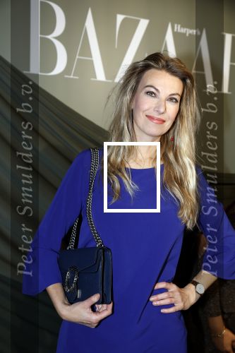 Amsterdam 14 november 2022
Gala van Harpers Bazaar in Amsterdam centrum.
Susan Smit