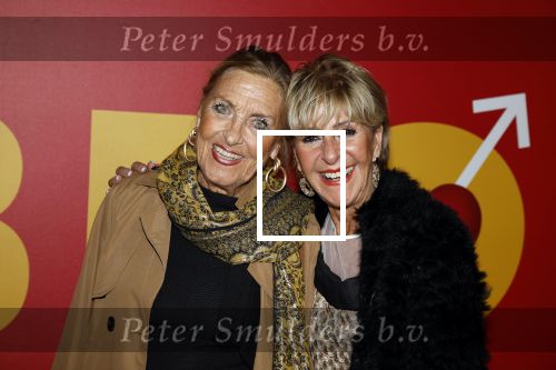 Amsterdam 23 oktober 2022
Premiere film BROS in Tuschinski. 
Sylvia v d Akker