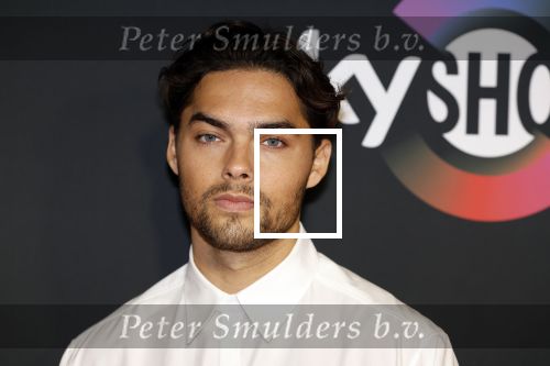Amsterdam 3 november 2022
Rode loper ivm met nieuwe streamingsdienst Sky showtime bij westergasfabriek. Thijs Boermans