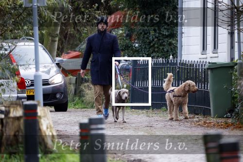 Zuiderwoude 18 november 2022
Thijs Romer laat zijn honden uit .
