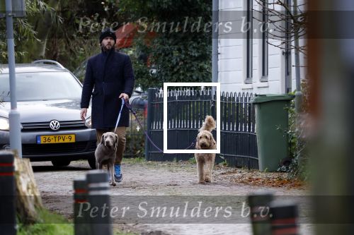 Zuiderwoude 18 november 2022
Thijs Romer laat zijn honden uit .
