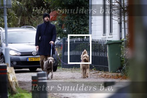Zuiderwoude 18 november 2022
Thijs Romer laat zijn honden uit .