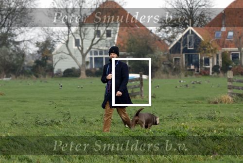 Zuiderwoude 18 november 2022
Thijs Romer laat zijn honden uit .