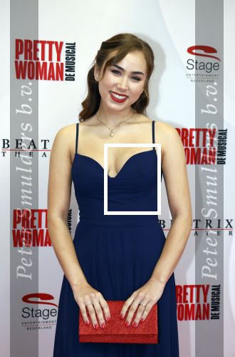 Utrecht 8 oktober 2023
Premiere Pretty Woman in het Beatrixtheater in Utrecht. Anique Dreamon