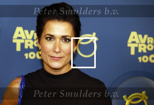 Amsterdam 12 oktober 2023
Televizierring 2023 in Carre .
Annechien Steenhuizen