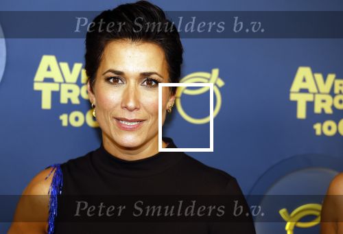 Amsterdam 12 oktober 2023
Televizierring 2023 in Carre .
Annechien Steenhuizen