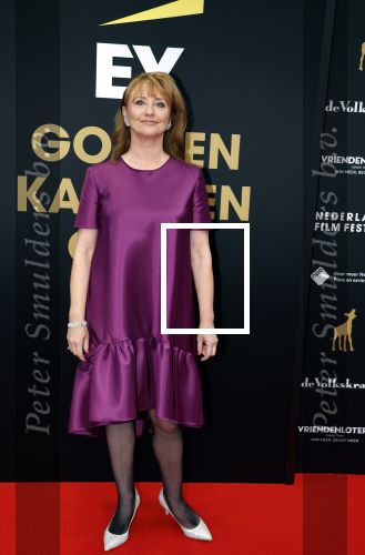 Utrecht 29 september 2023
Uitreiking gouden kalveren in de schouwburg van Utrecht. Bianca Krijgsman met man