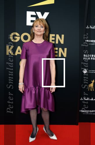 Utrecht 29 september 2023
Uitreiking gouden kalveren in de schouwburg van Utrecht. Bianca Krijgsman met man