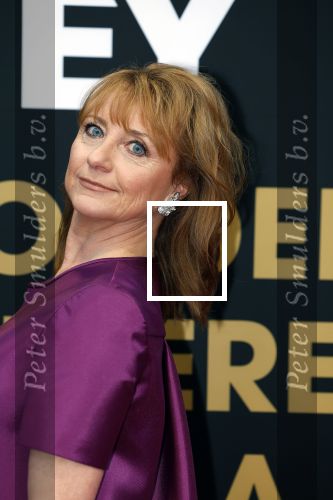 Utrecht 29 september 2023
Uitreiking gouden kalveren in de schouwburg van Utrecht. Bianca Krijgsman met man
