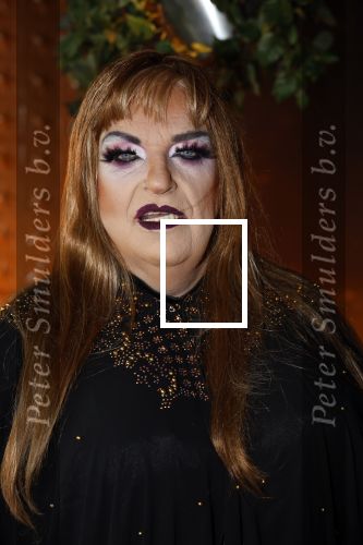 Rotterdam 22 oktober 2023
Boer Geert Jan als travestiet bij verkieizing .