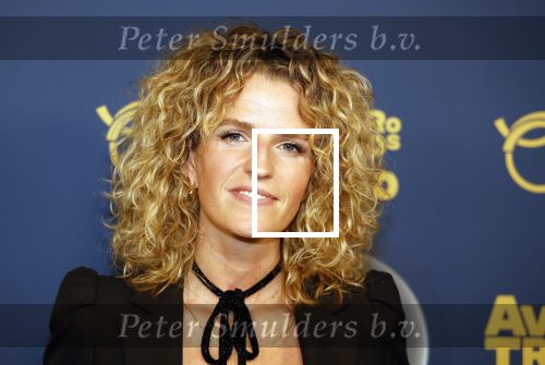 Amsterdam 12 oktober 2023
Televizierring 2023 in Carre .
Carolien Borgers
