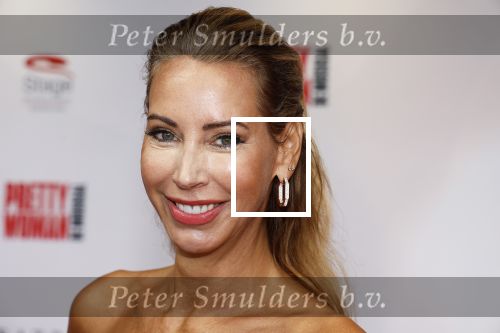 Utrecht 8 oktober 2023
Premiere Pretty Woman in het Beatrixtheater in Utrecht. Addy v d Krommenacker en Caroline ter Linden
