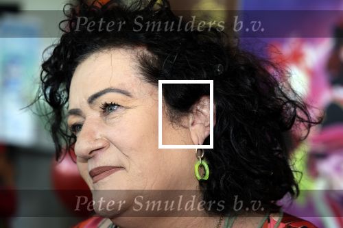 Amsterdam 30 september 2023
Premiere de Grote sinterklaasfilm in Pathe Noord.
Caroline v d Plas