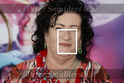 Amsterdam 30 september 2023
Premiere de Grote sinterklaasfilm in Pathe Noord.
Caroline v d Plas