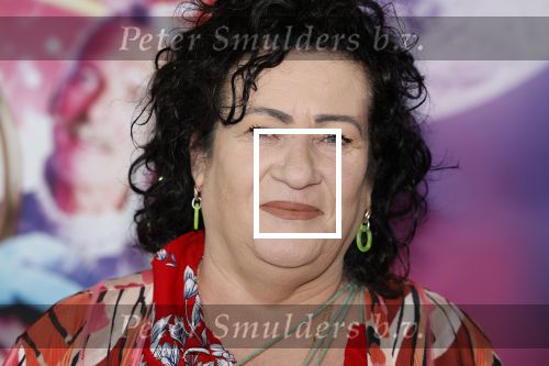 Amsterdam 30 september 2023
Premiere de Grote sinterklaasfilm in Pathe Noord.
Caroline v d Plas