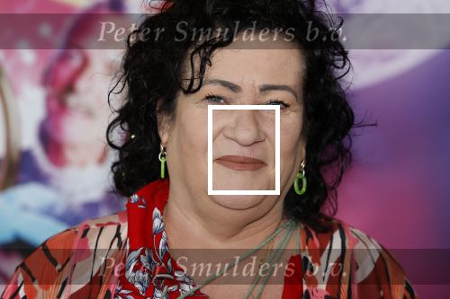 Amsterdam 30 september 2023
Premiere de Grote sinterklaasfilm in Pathe Noord.
Caroline v d Plas