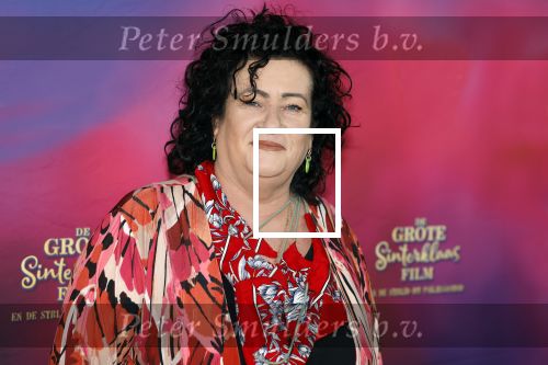 Amsterdam 30 september 2023
Premiere de Grote sinterklaasfilm in Pathe Noord.
Caroline v d Plas