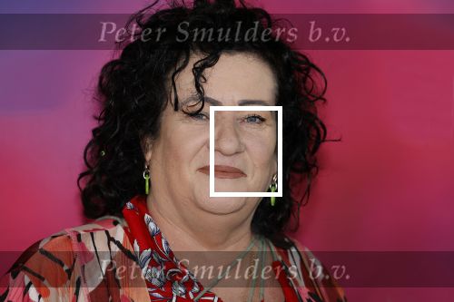 Amsterdam 30 september 2023
Premiere de Grote sinterklaasfilm in Pathe Noord.
Caroline v d Plas