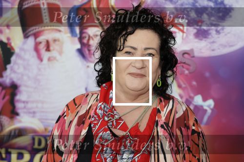 Amsterdam 30 september 2023
Premiere de Grote sinterklaasfilm in Pathe Noord.
Caroline v d Plas