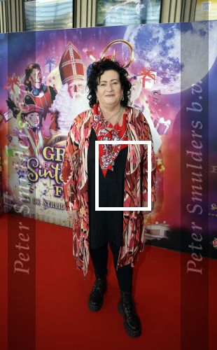 Amsterdam 30 september 2023
Premiere de Grote sinterklaasfilm in Pathe Noord.
Caroline v d Plas