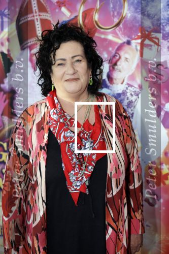 Amsterdam 30 september 2023
Premiere de Grote sinterklaasfilm in Pathe Noord.
Caroline v d Plas