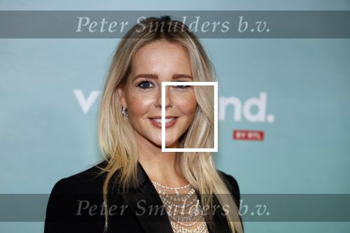 Amsterdam 10 oktober 2023
Premiere een grote familie in Tuschinski . Vidoeland gaat het uitzenden. Chantal Janzen