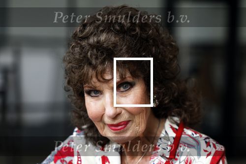 Soestdijk 4 oktober 2023
Presentatie LP Anneke Gronloh op Paleis Soestdijk.
