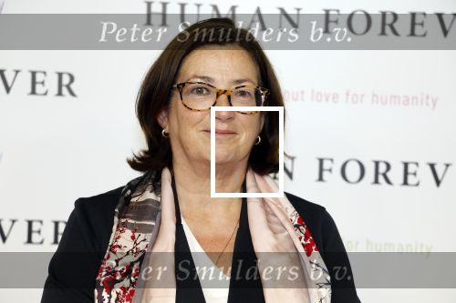 Amsterdam 9 oktober 2023
Premiere Human Forever door oa Teun Toebes in Tuschinski. Conny Helder