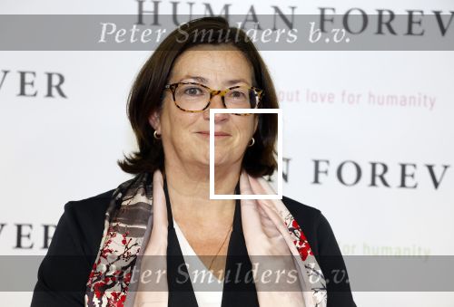 Amsterdam 9 oktober 2023
Premiere Human Forever door oa Teun Toebes in Tuschinski. Conny Helder