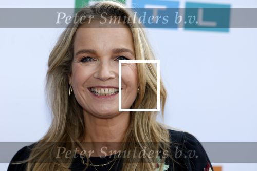 Amstelveen 27 september 2023
Perspresentatie RTL in het Amsterdamse Bos.
Daphne Lammers