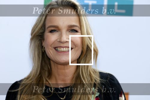 Amstelveen 27 september 2023
Perspresentatie RTL in het Amsterdamse Bos.
Daphne Lammers
