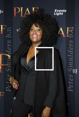 Amsterdam 13 oktober 2023
Premiere Piaf in het DeLamar theater.
Denice Dest