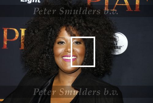 Amsterdam 13 oktober 2023
Premiere Piaf in het DeLamar theater.
Denice Dest