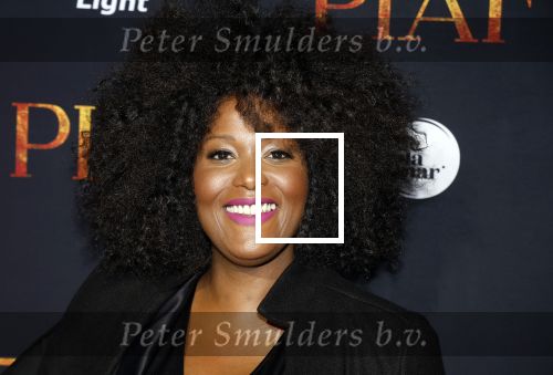 Amsterdam 13 oktober 2023
Premiere Piaf in het DeLamar theater.
Denice Dest