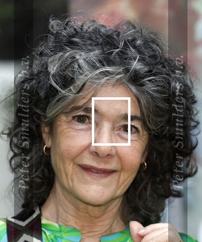 Amsterdam 10 oktober 2023
Presentatie boek moeders van Esther Goedegebuure bij het West Indisch huis. Dieuwertje Blok