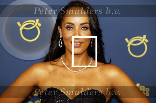 Amsterdam 12 oktober 2023
Televizierring 2023 in Carre .
Dyantha Brooks