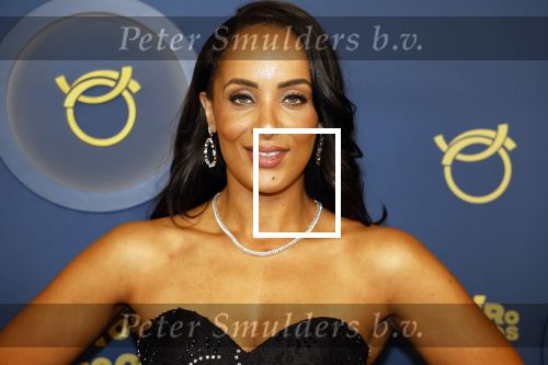 Amsterdam 12 oktober 2023
Televizierring 2023 in Carre .
Dyantha Brooks