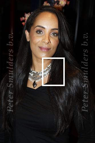 Amsterdam 23 oktober 2023
Presentatie nieuwe cover Kek Mama op event van Friends of the brands in het Lido . Dyantha Brooks