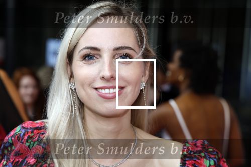 Utrecht 8 oktober 2023
Premiere Pretty Woman in het Beatrixtheater in Utrecht. Eline de Ruig