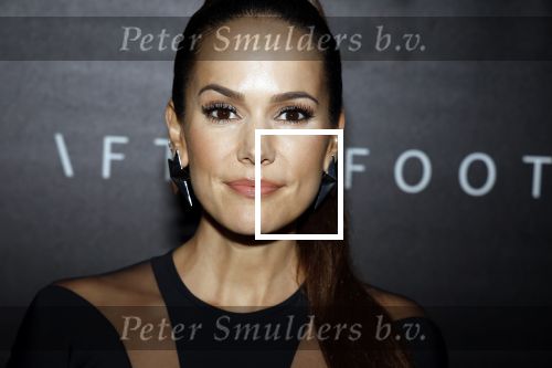 Amsterdam 30 oktober 2023
Life after Football gala LAF in grand Hotel Krasnapolsky. Elize v d Horst