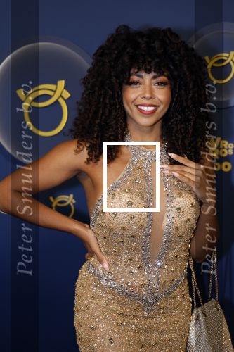 Amsterdam 12 oktober 2023
Televizierring 2023 in Carre .
Fenne Ramos