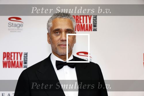 Utrecht 8 oktober 2023
Premiere Pretty Woman in het Beatrixtheater in Utrecht. Franklin Brown met Paulien v d Velden