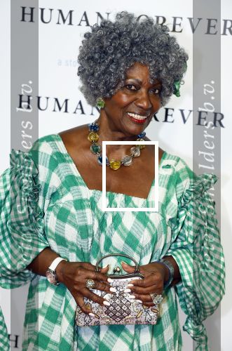 Amsterdam 9 oktober 2023
Premiere Human Forever door oa Teun Toebes in Tuschinski. Gerda Havertong