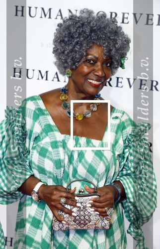Amsterdam 9 oktober 2023
Premiere Human Forever door oa Teun Toebes in Tuschinski. Gerda Havertong