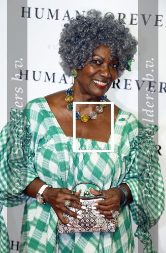 Amsterdam 9 oktober 2023
Premiere Human Forever door oa Teun Toebes in Tuschinski. Gerda Havertong