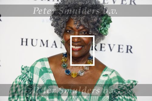 Amsterdam 9 oktober 2023
Premiere Human Forever door oa Teun Toebes in Tuschinski. Gerda Havertong
