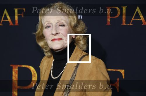 Amsterdam 13 oktober 2023
Premiere Piaf in het DeLamar theater. Gerrie v d Klei