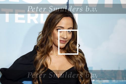 Amsterdam 25 oktober 2023
Presentatie seizoen 2 van The real housewives of Amsterdam in het College Hotel.
In seizoen 2 bestaat de cast uit Helle Huizinga Maria Tailor Susanna Klibansky Tamara Elbaz Kimmylien Nguyen en  Cherry Ann Person . Gini Faber