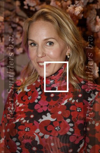 Amsterdam 23 oktober 2023
Presentatie nieuwe cover Kek Mama op event van Friends of the brands in het Lido . Hadewych Minis